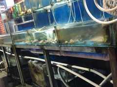 水产区-海帮主·蒸汽海鲜青岛菜(栈桥火车站店)