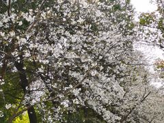 -玉山公园