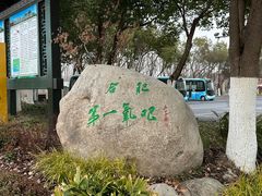 -合肥滨湖国家森林公园