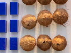 -蔻蔻椰·鲜萃椰子水(欢乐港湾店)