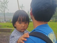 -铁山坪森林公园