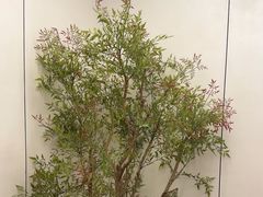 -北国饭店·海鲜.北方菜(榕城店)