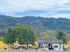 -塔川景区