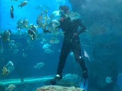 -北海·海洋之窗