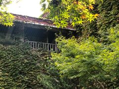 -中国茶叶博物馆(双峰馆区)