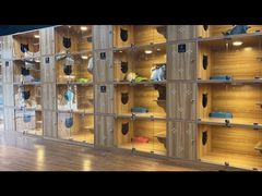 -猫十亿·布偶金渐层·曼基康矮脚猫舍(青年路店)