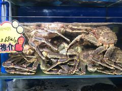 阿拉斯加长脚蟹-蚝专家(北滘店)
