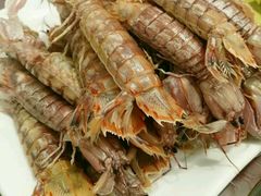 -烁佳海鲜大馅饺子