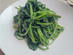 -新渝城·川菜·火锅(区庄店)