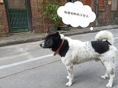 -华南理工大学五山校区-运动场