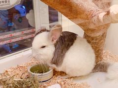 -龙猫仔乐园(惠福东路店)