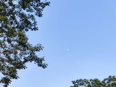 -珠海圆明新园