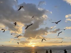 -爱我旅拍婚纱摄影(大理店)