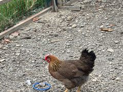 -粮心小农·大头虾亲子生态园(长发店)