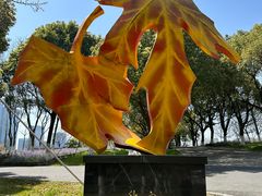 -白塘生态植物园