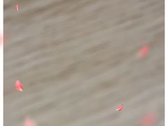 -釜山火炉·海鲜烤肉(紫藤路店)