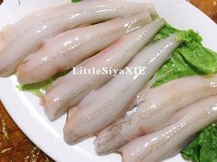 -金砂阿洲鱼册店