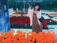 -昆明璀璨星空馆