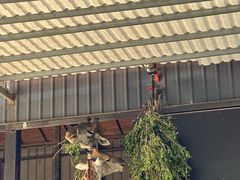 -灵玲国际马戏城