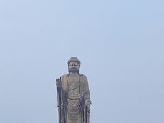-中原大佛景区