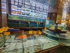 -怀德酒楼·粤菜·海鲜·茶点(宝安国际机场店)