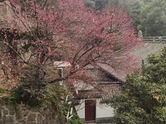 -韬光茶庵