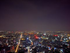 -洲际酒店·凌霄餐厅(紫峰大厦店)