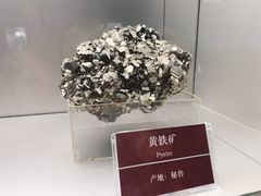 -甘肃地质博物馆