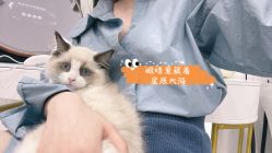 -花系美·美甲美睫精品店