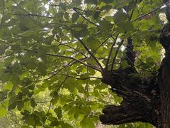 -终南山南五台景区