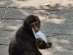 -西岭雪山大飞水景区