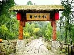 -井塘古村
