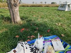 -汉长安城未央宫国家考古遗址公园