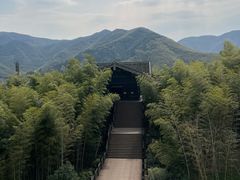 -大唐贡茶院