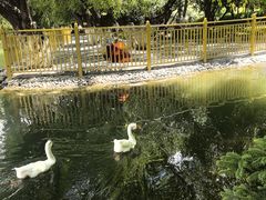 -宗角禄康公园