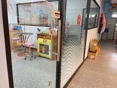 -小呆的宠物店·宠物售卖·宠物寄养(城西店)