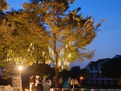 -无锡梁鸿湿地丽笙度假酒店·流觞西餐厅