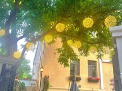 -天津五大道文化旅游区