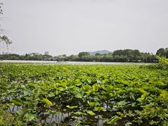 -云龙湖旅游景区