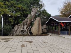 -宝岩生态观光园