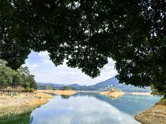 -广州市流溪河国家森林公园