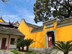 -阿育王寺