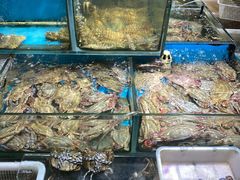 -岳各庄批发市场(西四环中路店)