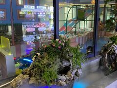 -星河湾温泉洗浴酒店