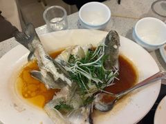 -冯姐生蚝(长隆横琴店)