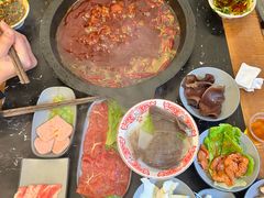 -重庆川渝肥妹火锅