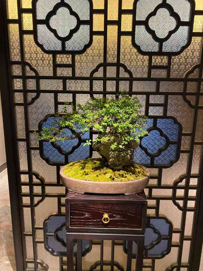 锦堂春想·广州粤菜-"一家收费和环境非常不一般的广州粤菜,估计.