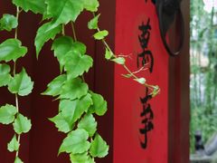 -老张烤羊(王哥庄店)