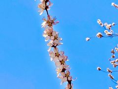 -颐和园
