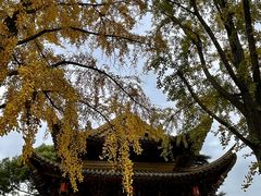 -上海东林寺(金山区)